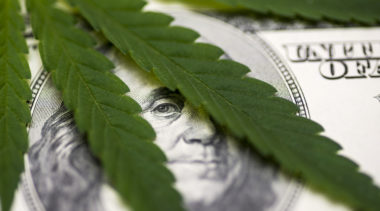 Marijuana Taxation and Black Market Crowd-Out