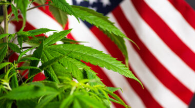 State Marijuana Regulators Send Congress Cannabis Market Recommendations