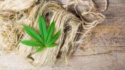 A Comparison of the Proposed Hemp Programs in North Carolina and Florida
